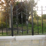 Picture 001