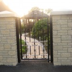 Picture 003