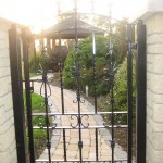 Picture 004