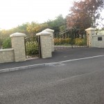 Picture 006