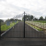 Picture 010