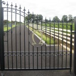 Picture 012