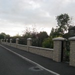 Picture 067